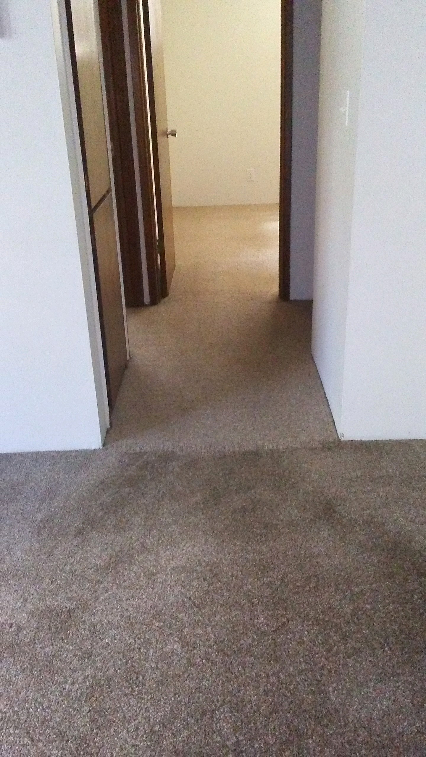 A photo displaying the carpet cleaning services of Lady and The Gent